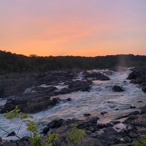 Meet your Posher, Audrey